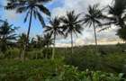 0.75 ac Land at Ls139 - 4