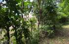 Land in Vipingo - 16