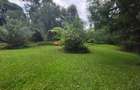 3 Bed Apartment with En Suite in Muthaiga - 7