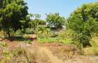 Land at Vipingo - 11