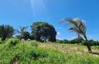 1 m² Land at Bomani - 11