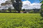 1 ac Residential Land at Limuru Girls High School - 3