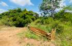 19 ac Land at Kenol-Makutano Highway - 15