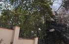 4 Bed Townhouse with En Suite at Westlands - 3