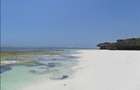 20 ac Land in Kilifi - 4