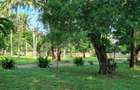 3.7 ac Land at Serena - 12