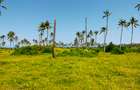 Land at Kilifi Bofa Beach - 17