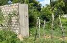 506 m² Residential Land at Behind Kalro - Atc Mtwapa - 5