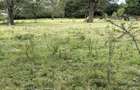 Land in Karen - 3