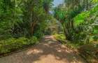 5 Bed Townhouse with En Suite in Kitisuru - 4