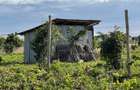 1,012 m² Land in Diani - 6