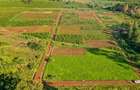 Residential Land in Ruiru - 3