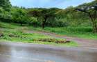 15 ac Land in Tigoni - 5