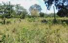 40 ac Residential Land in Kilifi - 2