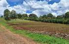 1 ac Residential Land at Kentmere - 4