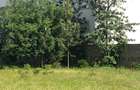 10,000 ft² Land at Kenol Town Front Row - 2