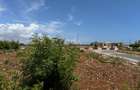 Land in Vipingo - 12