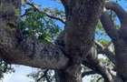 Land in Vipingo - 3