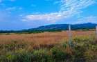 10 ac Land at Mweiga - 3