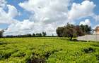4 Bed House with En Suite in Limuru - 18