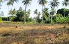 15 ac Land at Bomani - 5