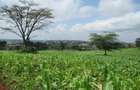 Land at Ngong Town - 2