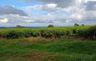 31 ac Land at Limuru Road - 6