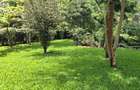 4 Bed Townhouse with En Suite at Miotoni - 13