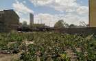 Commercial Land at Namanga Rd - 4