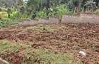 0.125 ac Land in Ruaka - 5
