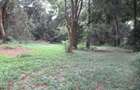 4 ac Land at Mushroom Gardens - 6