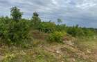 10 ac Land in Vipingo - 9