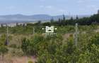 1 ac Land in Nanyuki - 1