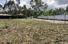 Land at Matasia - 3