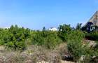 900 m² Land at Watamu 3Rd Row Beach - 8