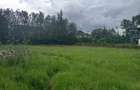 0.5 ac Residential Land in Karen Hardy - 3