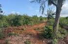 6 ac Land in Kilifi - 12