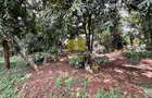 1 ac Land in Lower Kabete - 4