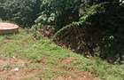 1 ac Land in Thindigua - 1