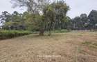 0.5 ac Land in Garden Estate - 4