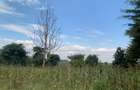 0.5 ac Land at Kiganjo Junction - 3