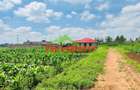 0.05 ha Residential Land in Kamangu - 5