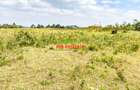 0.05 ha Land in Limuru - 6