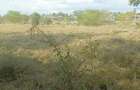 0.042 ha Residential Land at Next To Golden Plains Academy - 5