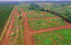 500 m² Land at Zuri Springs Estate - 4