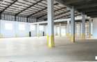 849 m² Warehouse with Backup Generator at Oaklands - 8