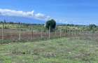 Land in Nanyuki - 1