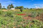 0.1 ha Commercial Land at Muguga - 14