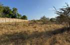 108 ac Land at Kilifi Plantation - 14