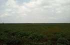 Land at Nanyuki-Rumuruti Rd - 10